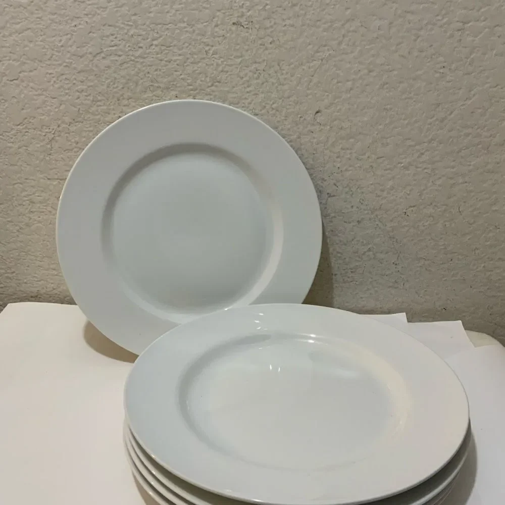 Pier 1 imports luminous White porcelain  dinner Plate 11” (Set of 5) G6